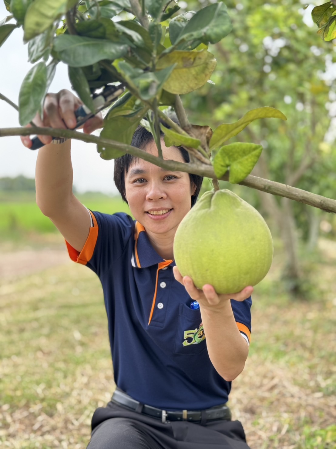 title - ผู้ตรวจราชการ ส.ป.ก. ประชุมตรวจติดตามความก้าวหน้าผลการดำเนินงานตามแผนการตรวจราชการของ ส.ป.ก. ประจำปีงบประมาณ พ.ศ. 2568 รอบที่ 2 เขตตรวจราชการที่ 2 จังหวัดปทุมธานี และลงพื้นที่ตรวจเยี่ยมเกษตรกรแปลงต้นแบบเกษตรกรรมยั่งยืน การทำเกษตรอินทรีย์ ในเขตปฏิรูปที่ดินจังหวัดปทุมธานี